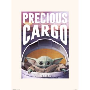 Star Wars: The Mandalorian - Precious Cargo Reproducere, (30 x 40 cm)