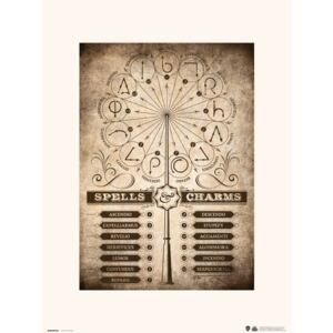 Harry Potter - Spells Charms Reproducere, (30 x 40 cm)