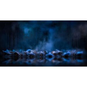 Fotografii artistice Swans on the lake...., Charlaine Gerber