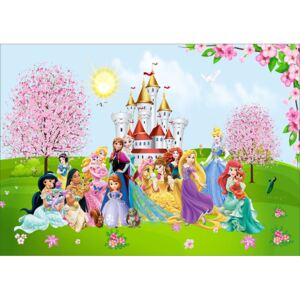 Tapet Fototapet Copii - Disney Princes 2 - VIODesign Premium 200x300 cm