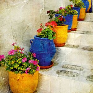 Tablou cu motiv floral Flower Pots And Stairs, 45 x 45 cm