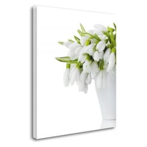 CARO Tablou pe pânză - Flowers In A White Vase 40x50 cm