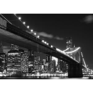 Fototapet Brooklyn Bridge FTS 1305