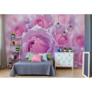 Fototapet - Sparkling Flowers Pink And Purple Vliesová tapeta - 208x146 cm