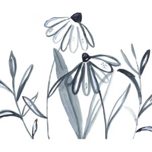 Ilustrare Echinacea meadow, Laura Irwin