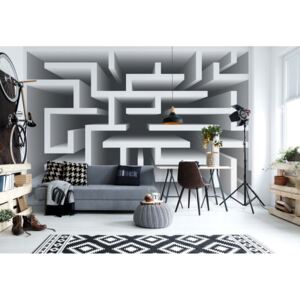 Fototapet - Modern 3D Maze Design Vliesová tapeta - 416x254 cm