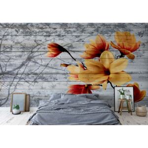 Fototapet GLIX - Magnolia Flowers Farmhouse 2 + adeziv GRATUIT Tapet nețesute - 254x184 cm