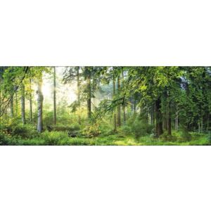 Tablou sticla Forest Harmony I 50x125 cm