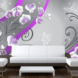 Fototapet - Purple orchids - variation 100x70 cm