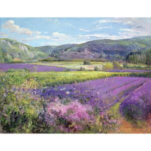 Timothy Easton - Lavender Fields in Old Provence Reproducere