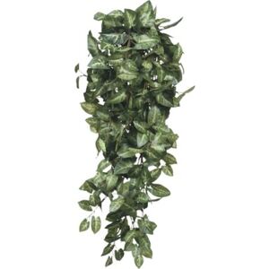 Planta artificiala, Syngonium, L 80 cm, verde