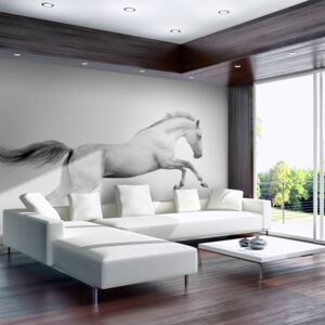 Fototapet - White gallop 250x193 cm
