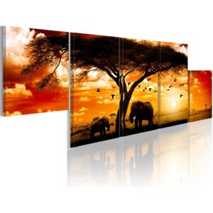 Tablou - Red sunset - Africa 100x30