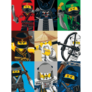 Lego Ninjago Movie - Colour Blocks Tablou Canvas, (60 x 80 cm)