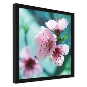 CARO Imagine în cadru - Almond Pink Flowers 20x20 cm Negru