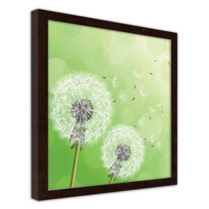 CARO Imagine în cadru - Dandelion On A Green Background 20x20 cm Maro