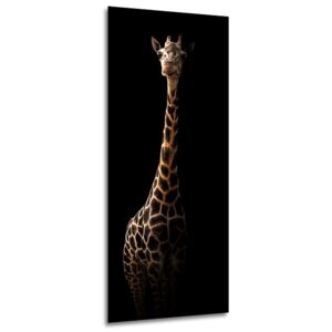 Styler Tablou pe sticlă - Giraffe 50x125 cm