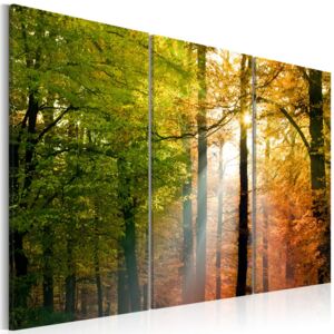 Tablou - A Calm Autumn Forest 60x40 cm