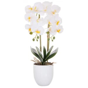 Aranjament Floral Orhidee Artificiala in Ghiveci cu 2 Tulpini, Aspect Natural, inaltime 55cm, Culoare Alb