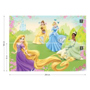 Fototapet - Disney Princesses Vliesová tapeta - 254x184 cm