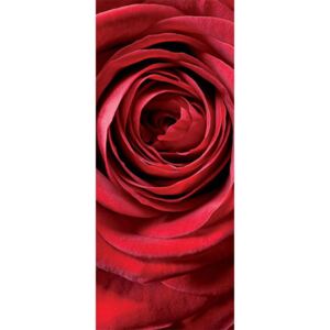 Komar Fototapet - Red Rose