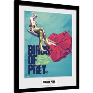 Birds Of Prey: And the Fantabulous Emancipation Of One Harley Quinn - One Sheet Bullet Afiș înrămat