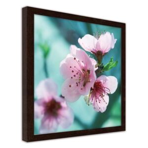 CARO Imagine în cadru - Almond Pink Flowers 20x20 cm Maro