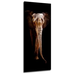 Tablou pe sticlă - Styler Elephant 50x125 cm