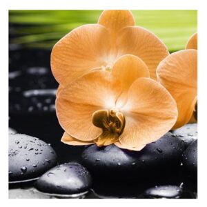 Tablou cu orhidee (Modern tablou, K011713K3030)