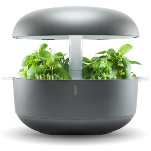 Grădină inteligentă pentru interior Plantui 6 Smart Garden Grey