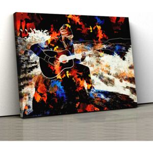 Tablou Canvas - Chitara 30x50cm (80,00 Lei)