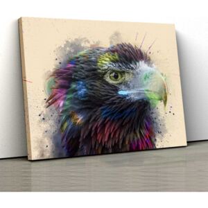 Tablou Canvas - Vultur 30x50cm (80,00 Lei)