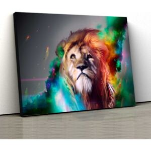 Tablou Canvas - Splash Lion 30x50cm (80,00 Lei)
