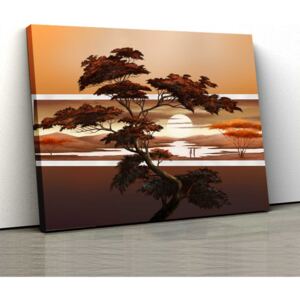 Tablou Canvas - Sunset Tree 1 - 30x50cm (80,00 Lei)