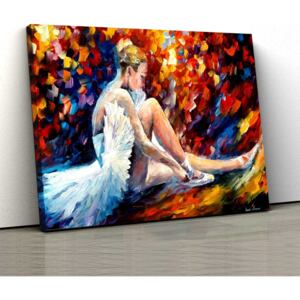 Tablou Canvas - Tanara Balerina 30x50cm (80,00 Lei)
