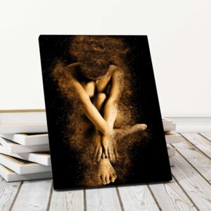 Tablou Canvas - Nude 30x50cm (80,00 Lei)