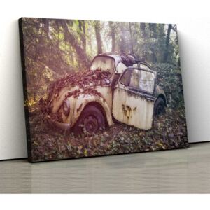 Tablou Canvas - Vintage Beetle 50x80cm (150,00 Lei)