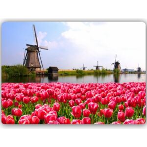 CARO Tablou metalic - Windmills And Tulips 40x30 cm