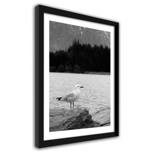 CARO Imagine în cadru - Seagull On A Rock 40x50 cm Negru