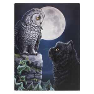 Tablou canvas pisica si bufnita Purrfect Wisdom 19x25cm Lisa Parker