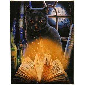 Tablou canvas pisica, Bewitched 19x25cm - Lisa Parker