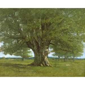 The Flagey Oak Tree, 1864 Reproducere, Gustave Courbet