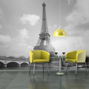 Fototapet - Seine And Eiffel Tower 250x193 cm