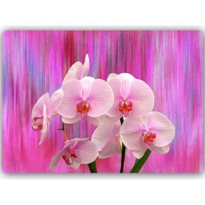 CARO Tablou metalic - Orchids 11 70x50 cm