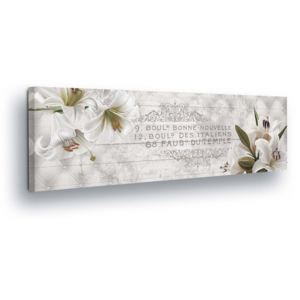 Tablou - Vintage with White Flowers 45x145 cm